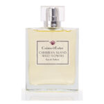 Pellentesque ultricies